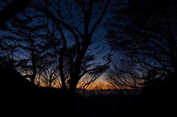 ツアー風景 First