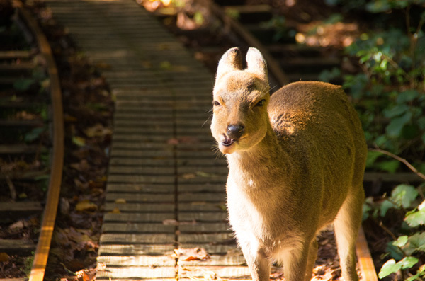 ツアー風景 First