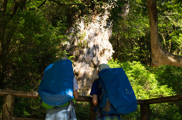 ツアー風景 First