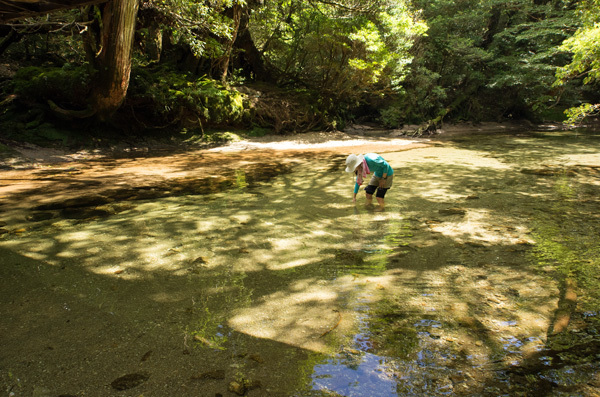 ツアー風景 First