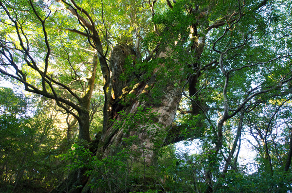 ツアー風景 First