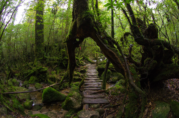 ツアー風景 First