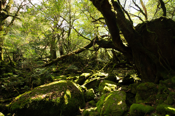 ツアー風景 First