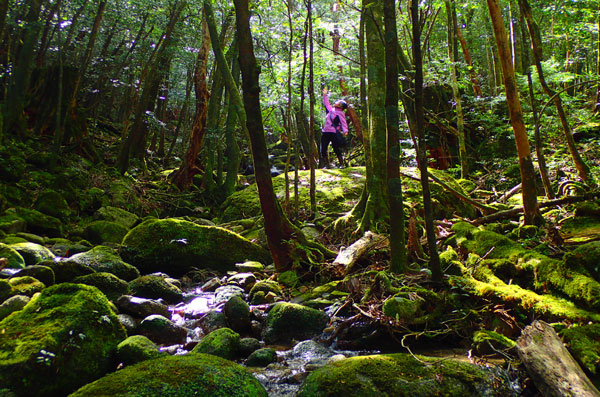 ツアー風景 First