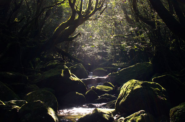 ツアー風景 First