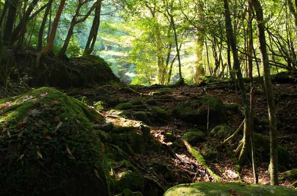 ツアー風景 First