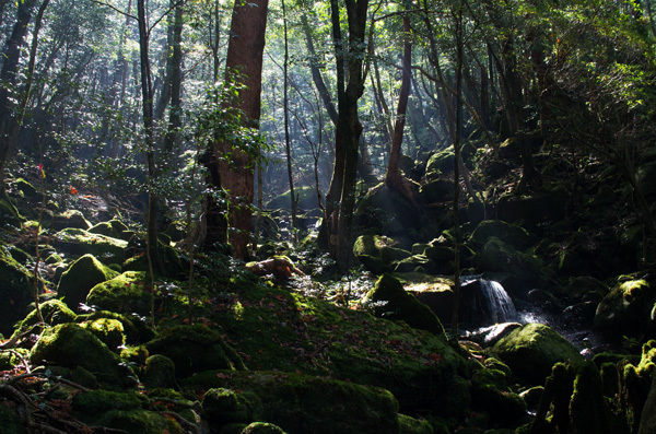 ツアー風景 First