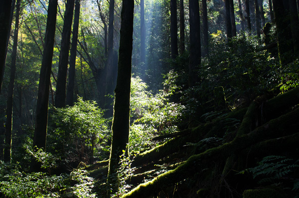 ツアー風景 First