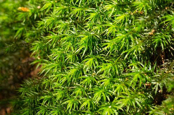 ツアー風景 First