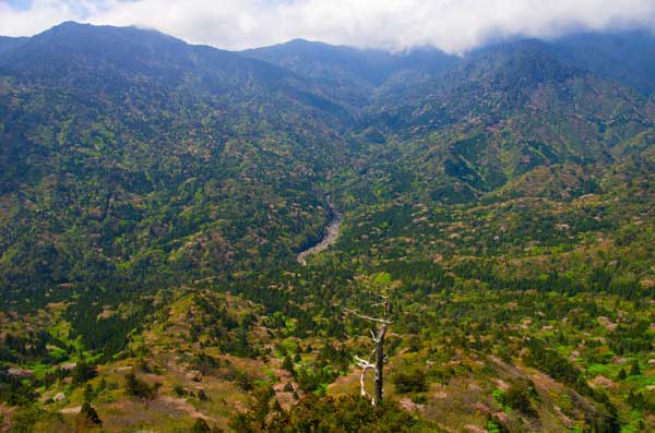 ツアー風景 First