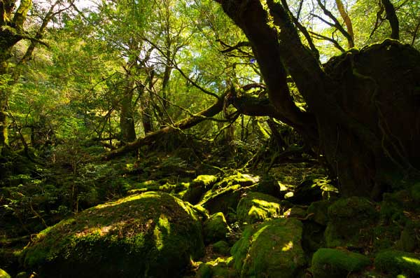 ツアー風景 First