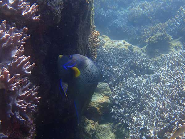 ツアー風景 First