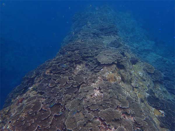 ツアー風景 First