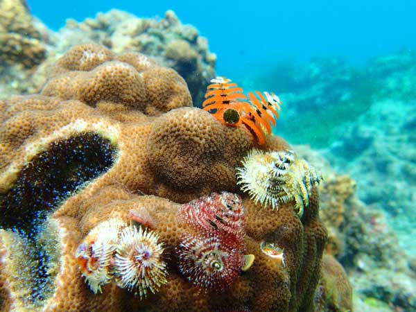 ツアー風景 First