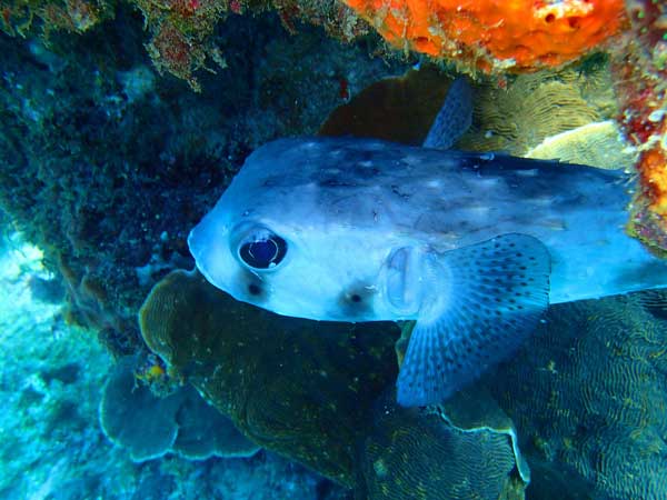 ツアー風景 First