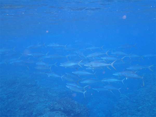 ツアー風景 First