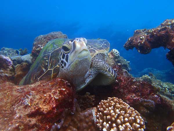 ツアー風景 First