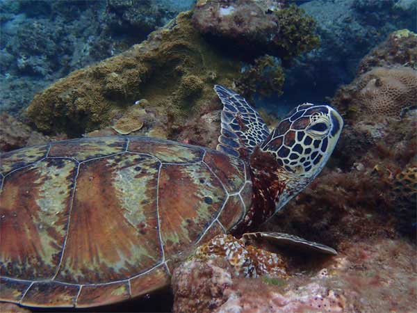 ツアー風景 First