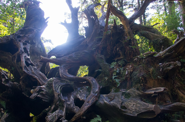 ツアー風景 First