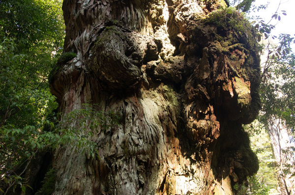 ツアー風景 First