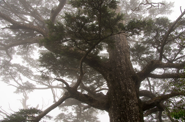 ツアー風景 First