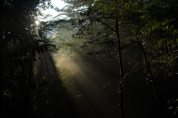 ツアー風景 First